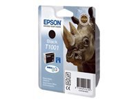 Epson Cartouches Jet d'encre d'origine C13T10014010