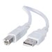 C2G 6.6ft USB to USB B Cable
