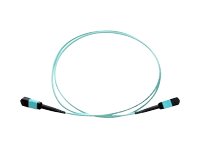 Axiom - Network cable