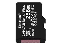Kingston Canvas Select Plus microSDXC 256GB 100MB/s
