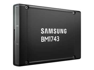 Samsung BM1743 - SSD