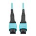 Eaton Tripp Lite Series 100G Multimode 50/125 OM4 Fiber Optic Cable 12F MPO/MPO-PC F/F Type-B Polarity OFNP Aqua 4M TAA