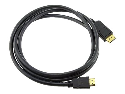 8WARE adapter cable DisplayPort / HDMI 2 Product shot Front 79200