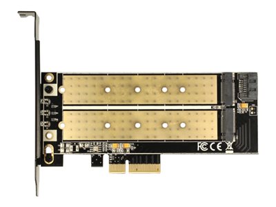 DELOCK PCIe-Card x4 > M2 KeyB + NVMe M.2 KeyM LowProfile - 89630