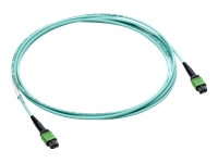 HPE - Câble InfiniBand - MPO-8 pour MPO-8 - 30 m 
