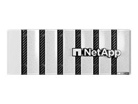 NetApp AFF C-Series AFF-C400 HA
