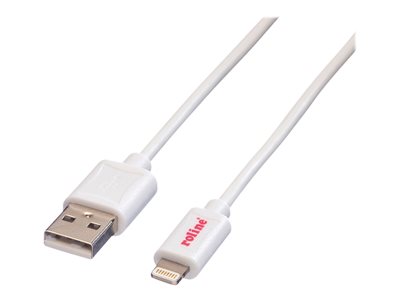 ROLINE USB 2.0 Sync- & Ladekabel Apple Netzwerk-Zubehör