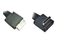 Intel OCuLink Cable Kit Serial Attached SCSI (SAS) internt kabel Sort 80cm