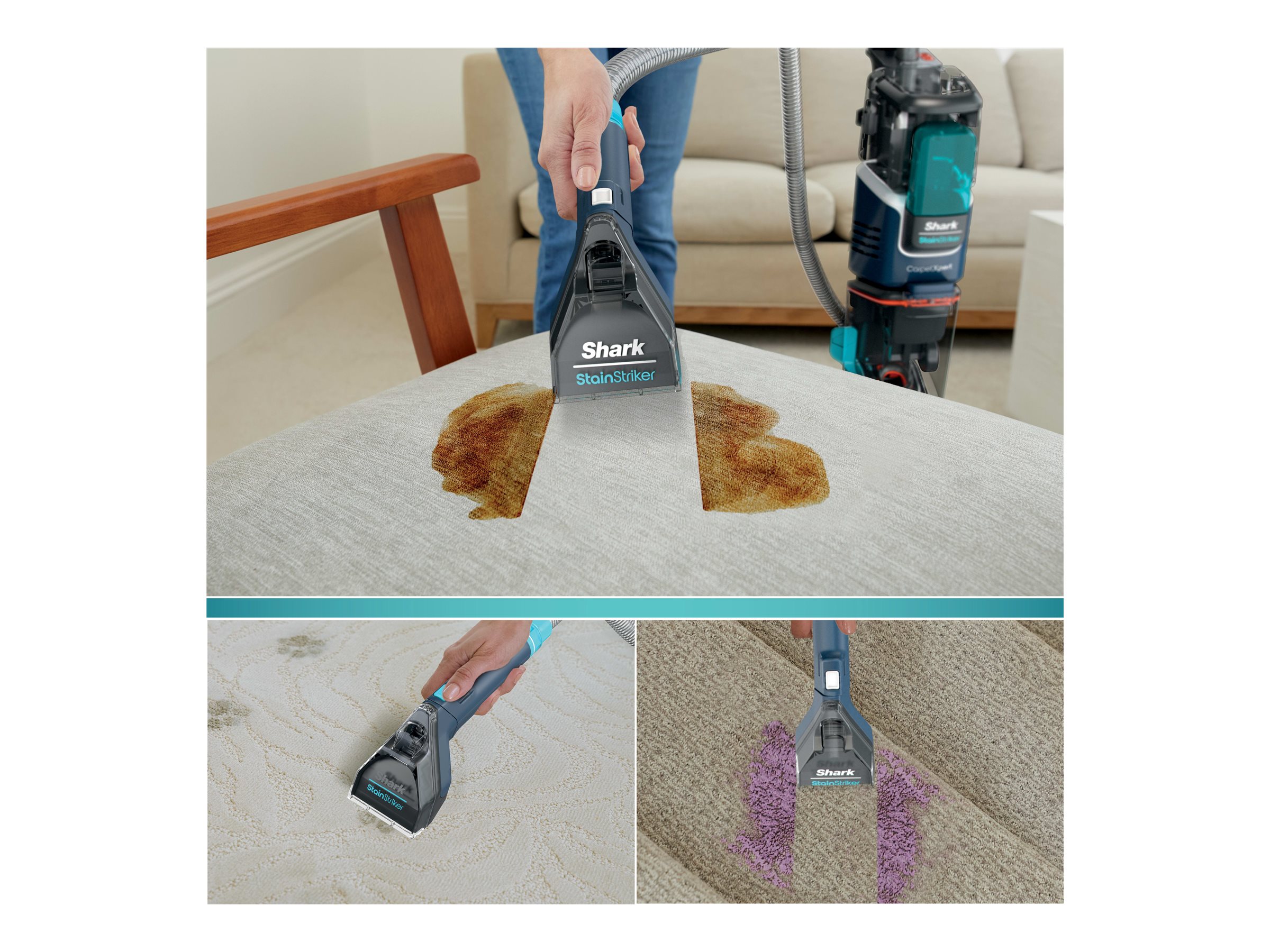 Shark CarpetXpert Upright Carpet Washer - EX200C