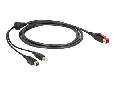 DELOCK PoweredUSB Kabel 24V>USB Typ-B 2m