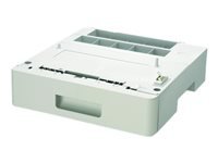 Epson Accessoires pour imprimantes C12C802641