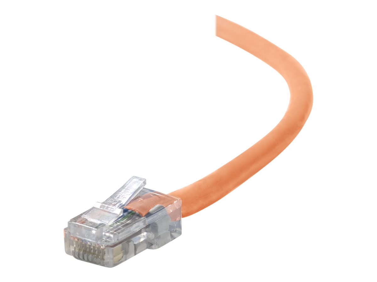 Belkin - Patch cable