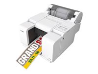 Canon LG-P800 Label printer color pigment-based ink-jet Roll (5.09 21.6 cm) 