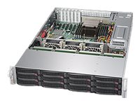 Supermicro SuperStorage Server 5028R-E1CR12L