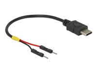 DeLOCK 24 pin USB-C (male) - 2 pin USB-samlestykke (male) Sort 10cm USB / strøm kabel