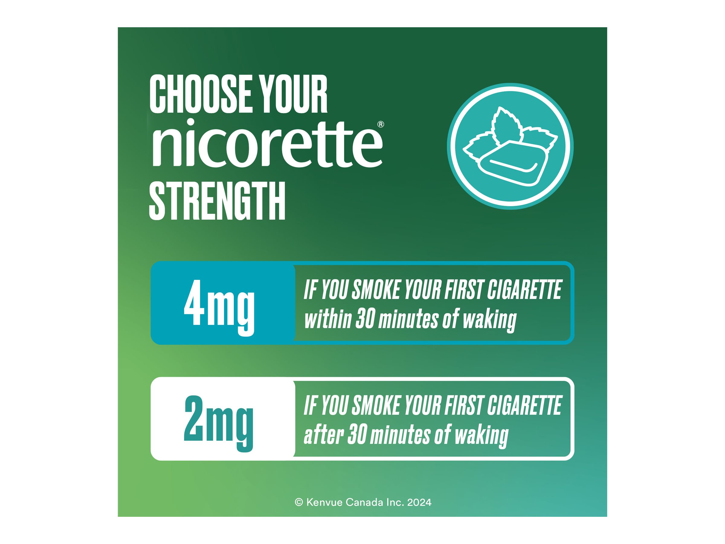 Nicorette Fresh Fruit Gum - 2mg - 105's