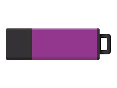 Centon DataStick Pro 2