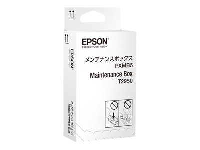 EPSON Maintenance Box WF-100W