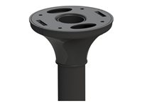 NEOMOUNTS Flatscreen Ceiling Mount
