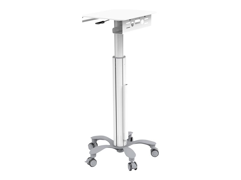 NEOMOUNTS Mobile Laptop Cart 10-22p