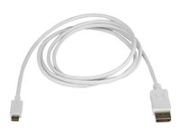 StarTech 6ft/1.8m USB C to DisplayPort 1.2 Cable 4K 60Hz, USB-C to DisplayPort Adapter Cable HBR2, USB Type-C DP Alt Mode to 