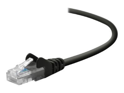 Belkin - Patch cable