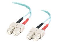 VS 5M SC SC 10G DPX PVC