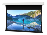 Da-Lite Advantage Tensioned - Écran de projection - montable sur plafond - motorisé 