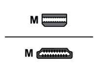 AddOn - Adapter cable