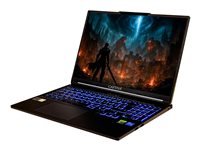 CAPTIVA Advanced Gaming I95-042GE 16' 2560 x 1600 I7-14650HX 32GB 2TB NVIDIA GeForce RTX 5060 / Intel UHD Graphics Windows 11 Home