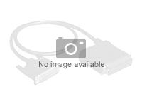 HPE - Kit de câbles de stockage - Connexion NVMe - pour ProLiant DL320 Gen11