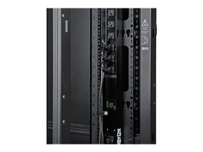 Tripp Lite 42U Rack Enclosure Server Cabinet w/ Doors & Sides
