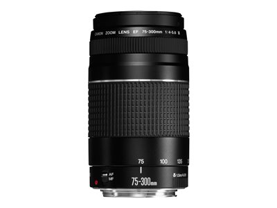 Canon - Telephoto zoom lens