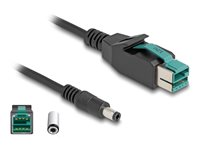 DeLOCK 8 pin USB PlusPower (12 V) (male) - Strøm DC jackstik 5,5 mm (ID: 2,5 mm) (male) Sort 3m Forstærket USB kabel