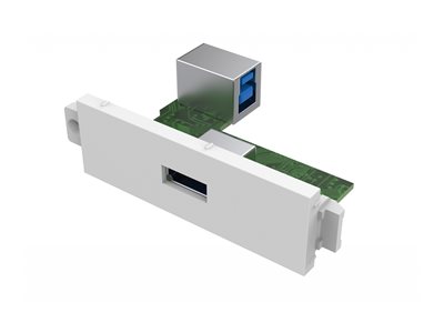 Modular AV faceplate component - USB A (on front) 