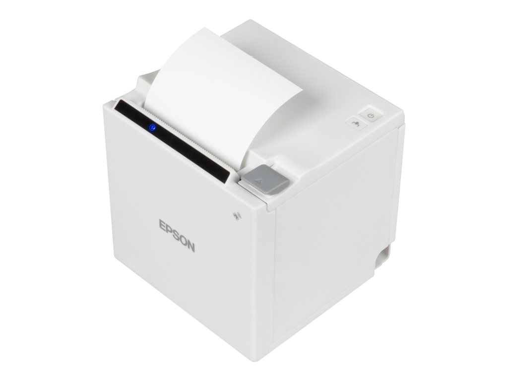 Epson TM m30