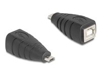 Delock USB-adapter Sort