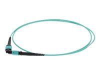 AddOn 10m MPO OM4 Aqua Patch Cable
