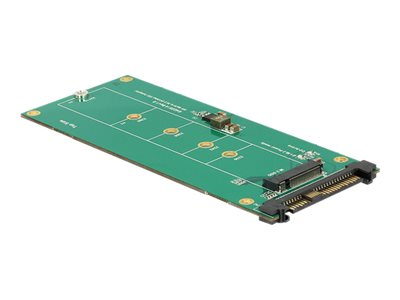 DELOCK SATA Konverter U.2 SFF-8639 NVMe -> 1x M.2 Key M
