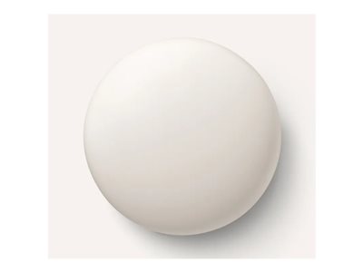 Google Nest - 2nd Gen