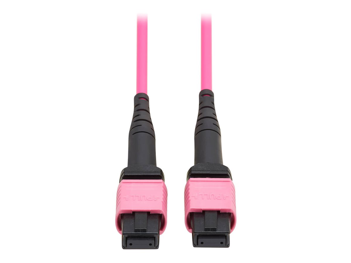 Eaton Tripp Lite Series 100G Multimode 50/125 OM4 Fiber Optic Cable (12F MTP/MPO-PC F/F), OFNP, Magenta, 3 m (9.8 ft.), TAA