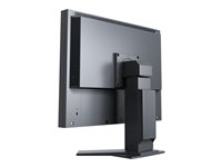 EIZO FlexScan S2133-BK - LED monitor - 21.3