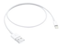 Apple - Câble Lightning - Lightning mâle pour USB mâle - 50 cm