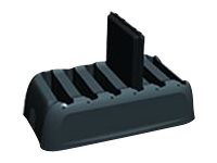 DT Research Battery Gang Charger