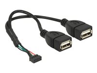 DeLOCK USB 2.0 USB intern til ekstern kabel 20cm Sort