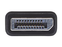 EATON TRIPPLITE DisplayPort to VGA/DVI