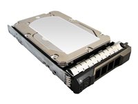 Total Micro Hard drive 600 GB internal 2.5INCH SAS 