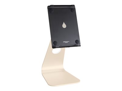 Rain Design mStand tablet pro 9.7INCH Stand for tablet up to 9.7INCH gold