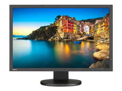 NEC MultiSync P243W-BK-SV