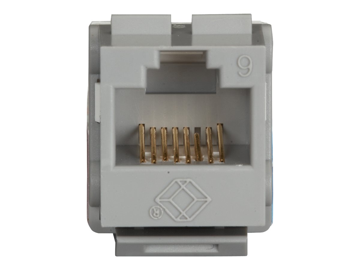 Black Box GigaTrue2 CAT6 Jack